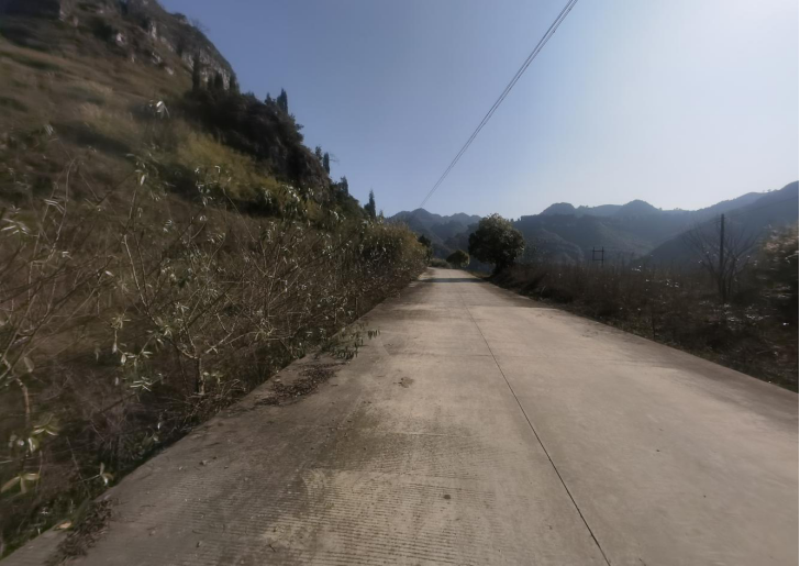 1644990165197294.png image.png