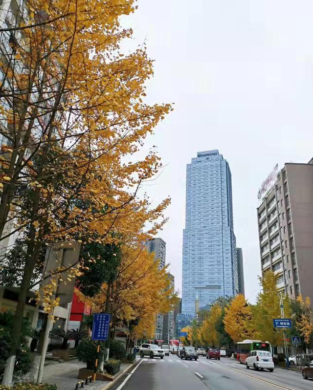 1648878532665216.png 1648878532665216.png