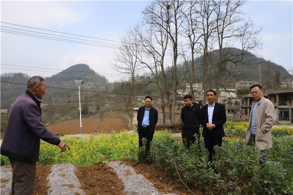 1680052869852202.jpg IMG_0365_副本.jpg