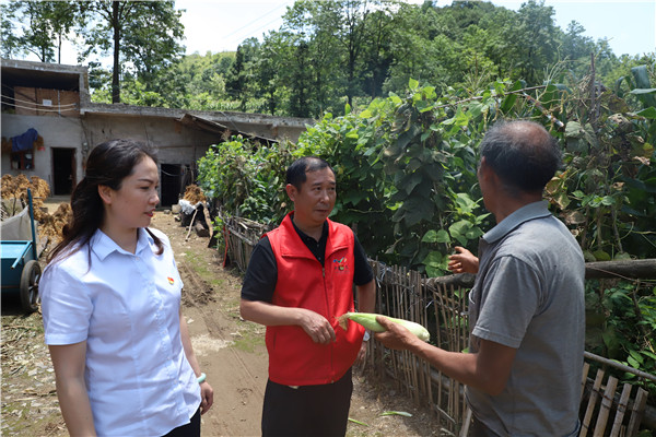 1690248029767453.jpg 3.jpg