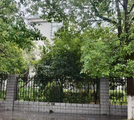 1729565350401953.png image.png