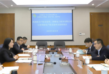 經(jīng)驗(yàn)交流  共促發(fā)展——西南聯(lián)合產(chǎn)權(quán)交易所、西藏電子商務(wù)有限公司 與貴州陽光產(chǎn)權(quán)交易所交流座談