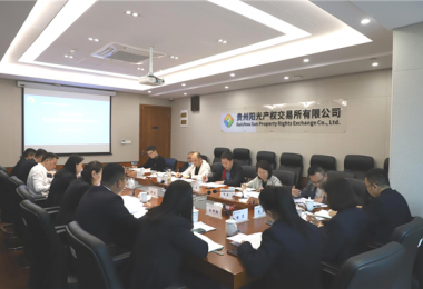 貴州省地方金融監(jiān)管局、貴州證監(jiān)局、貴陽市金融辦到貴州陽光產(chǎn)權交易所、貴州環(huán)交所開展權益類交易場所調研