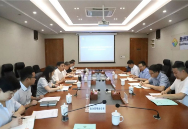 西南聯(lián)合產(chǎn)權(quán)交易所、西藏電子商務有限公司與貴州陽光產(chǎn)權(quán)交易所交流座談會