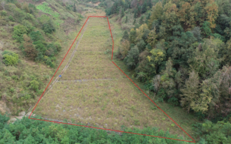 S62余安高速羅望段土地使用權(quán)招租（填平區(qū)4）